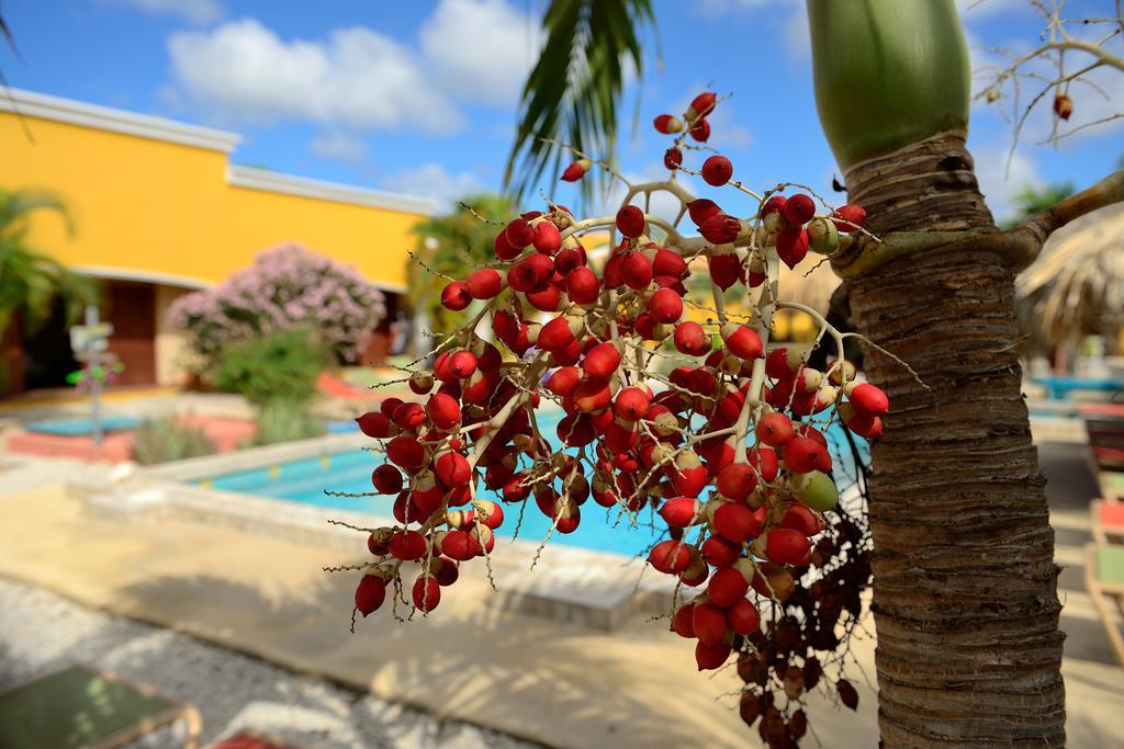 Апартаменты Djambo (Adults Only) Кралендейк Экстерьер фото
